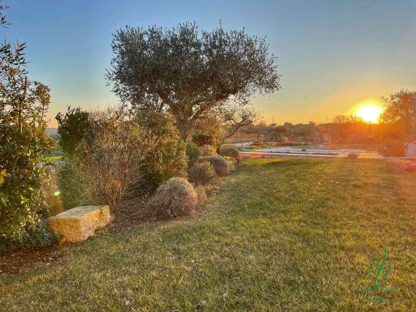 Arte verde Giardini Alberobello_v1_6